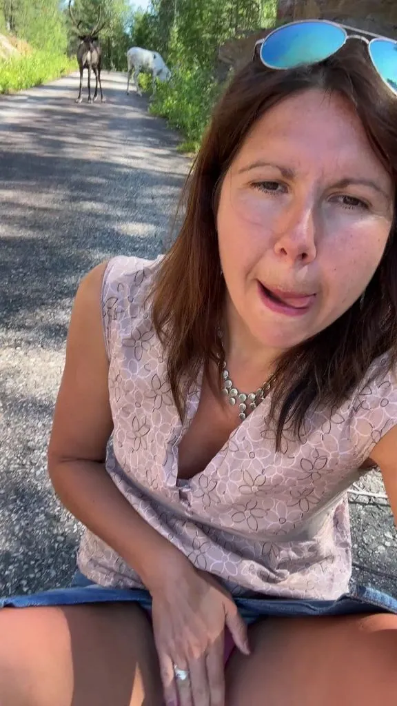 thumbnail foto nr. 5 von Vicky bei den Rentieren