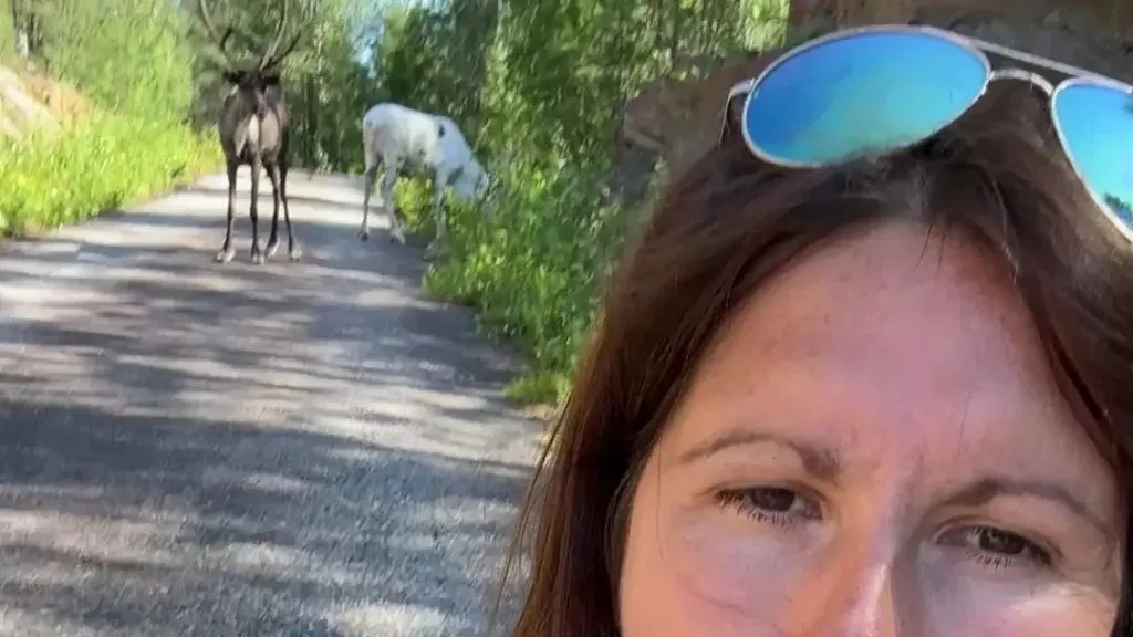 Vicky bei den Rentieren