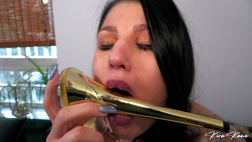 sexy foto nr. 7 von HIGH HEELS FUCK - 21cm ficken meine kleine Fotze !