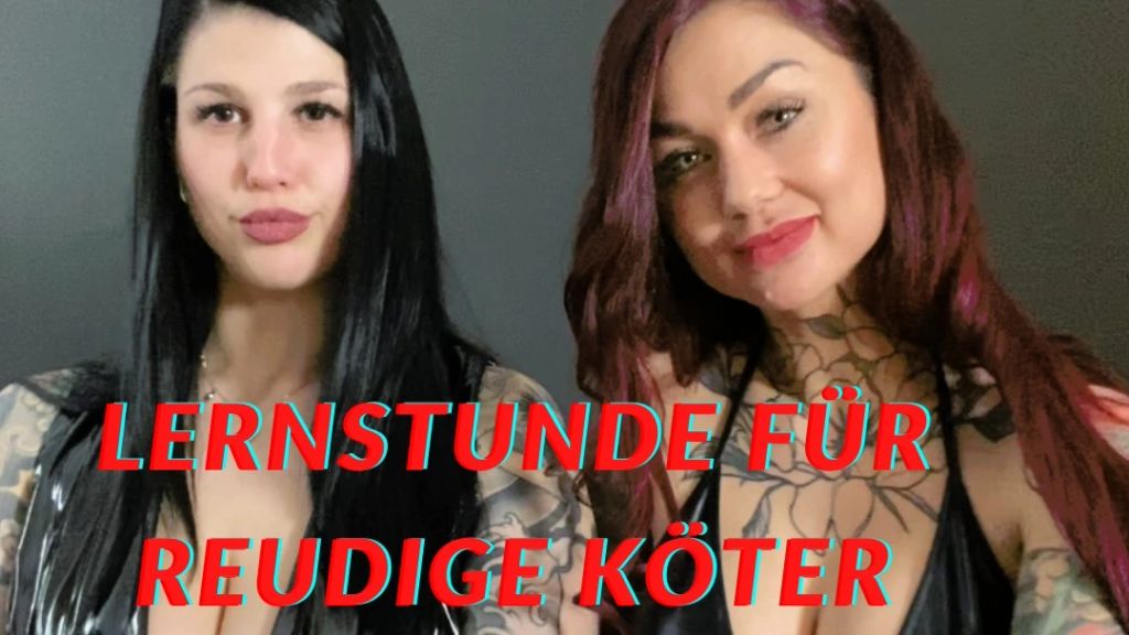 Lernstunde für reudige Köter!