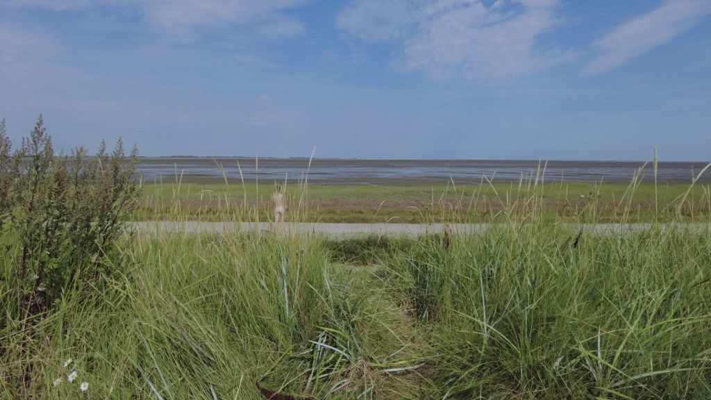 Vorschaubild 2 zum Video „Squirt am Strand“