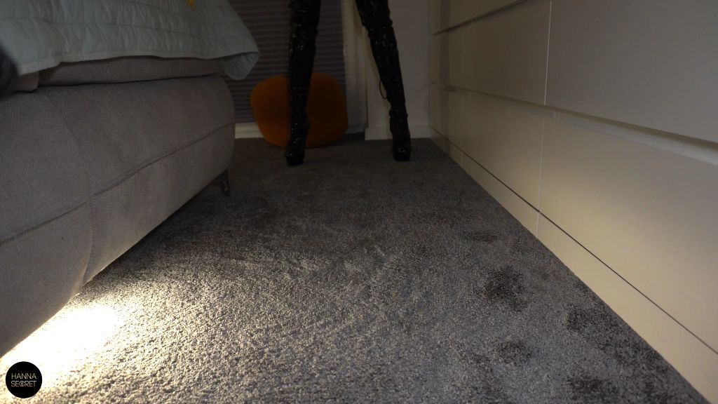 sexy foto nr. 1 von WICHS FÜR MICH UND LECK MEINE STIEFEL! LACKHERRIN IM CATSUIT