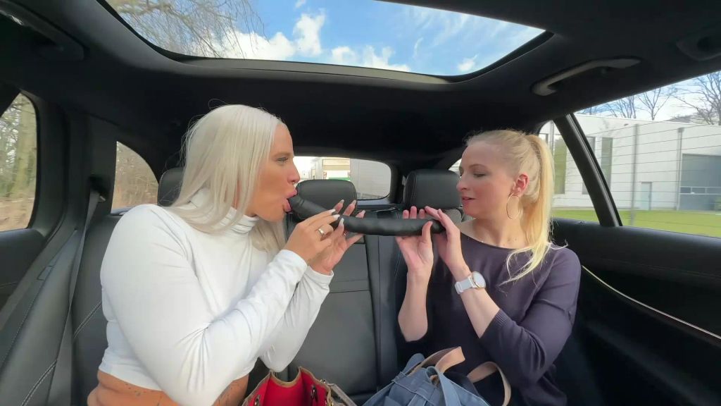 sexy foto nr. 4 von KRASS 2 BITCHES treiben es HART im Taxi