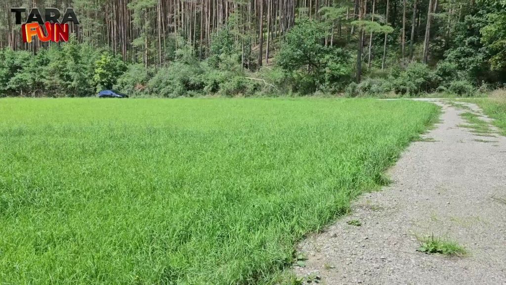 sexy foto nr. 4 von Mädelsausflug mit dem neuen Toy - Versauter OUTDOOR-FICK