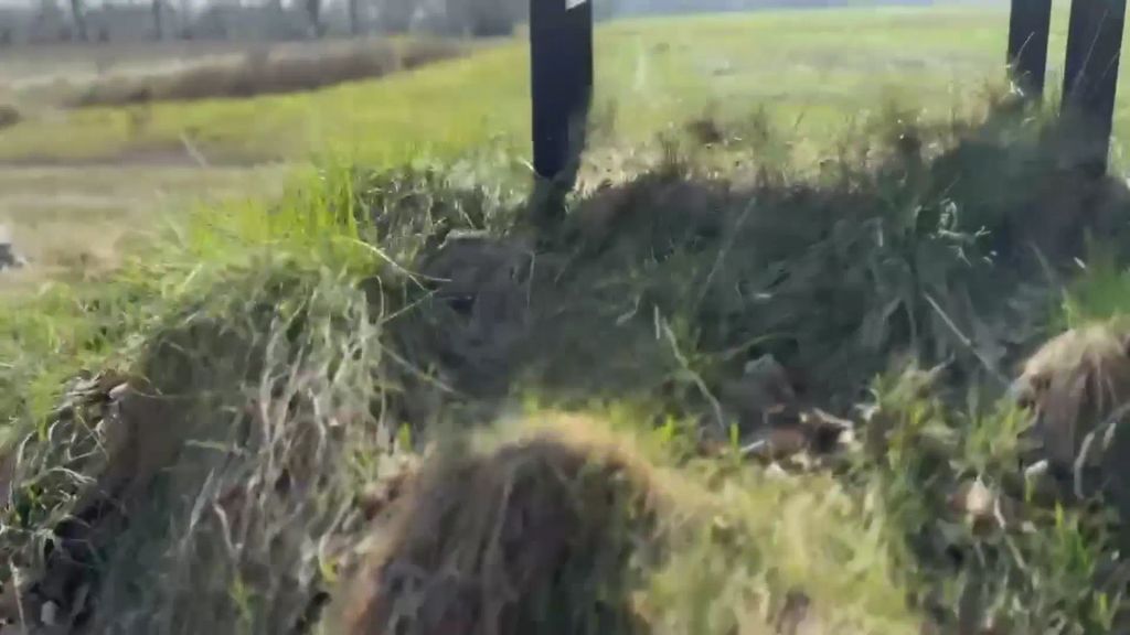 sexy foto nr. 1 von OMG!!! Dreister Spanner beobachtet mich im Park!!