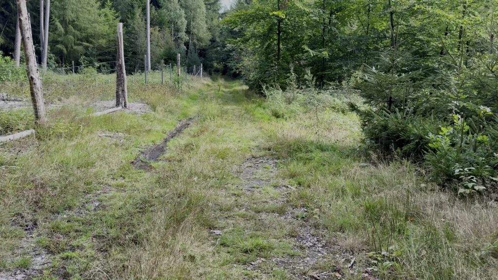 sexy foto nr. 7 von Waldspaziergang mit PIPI PAUSE!!