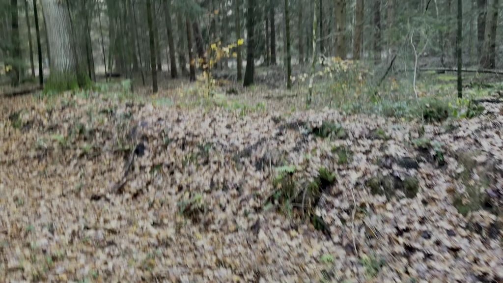 sexy foto nr. 1 von Einfach in den Wald gestrullert!