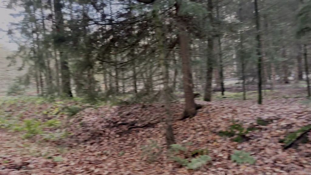 sexy foto nr. 2 von Einfach in den Wald gestrullert!