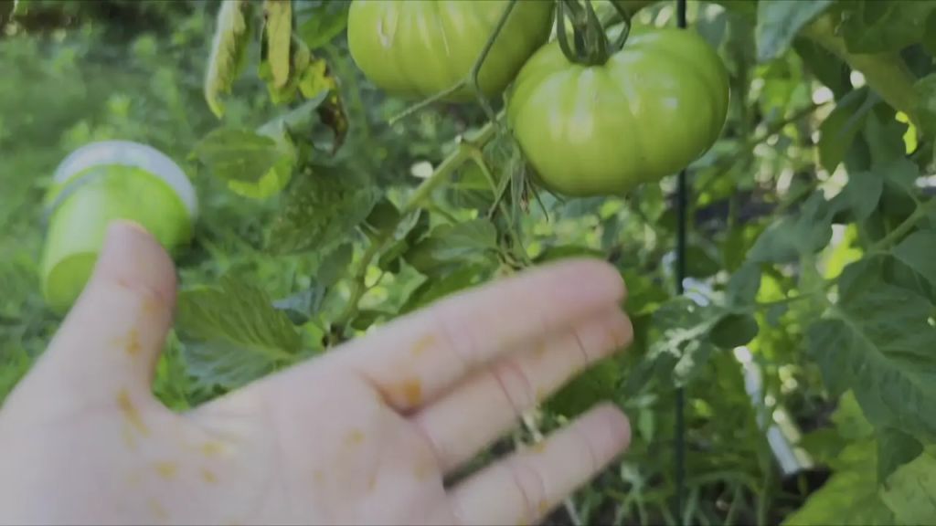 sexy foto nr. 1 von Feuchte Gartenarbeit !