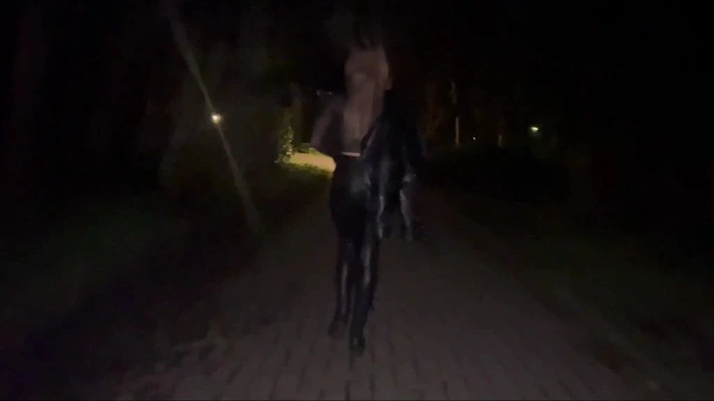 Nachts durch den Park gelaufen und einen Schwanz geblasen!