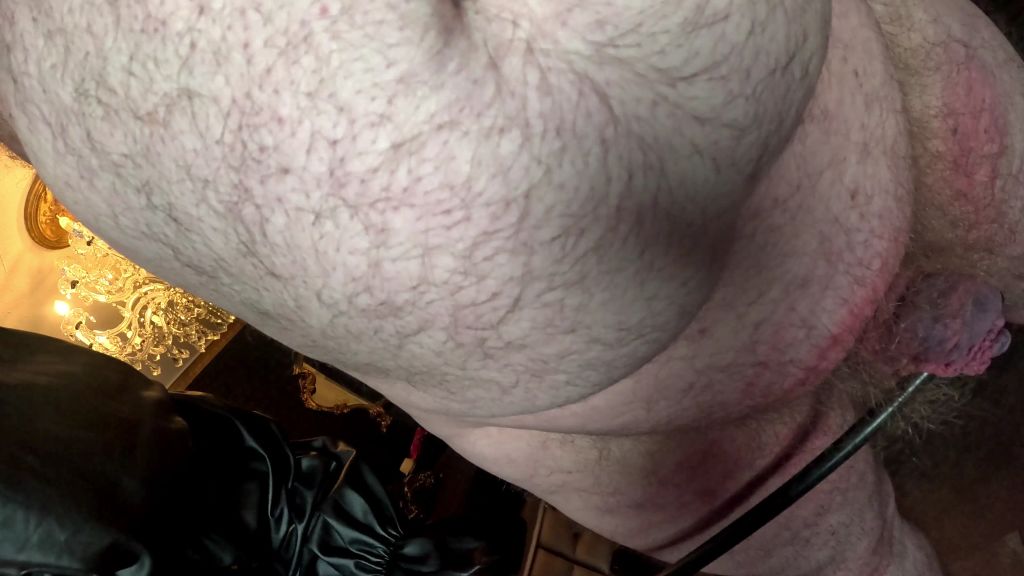 sexy foto nr. 8 von HARDCORE CBT! Wie viel Schläge halten deine Eier und dein Sc