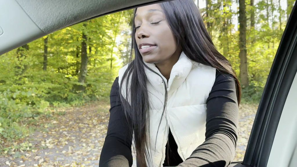 sexy foto nr. 1 von PUBLIC FREMDFICK im Auto...die Alte bringt's nicht