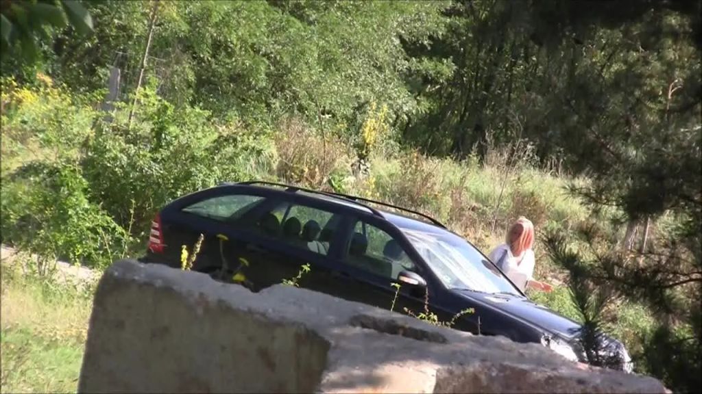 sexy foto nr. 1 von AutopanneWaldarbeiter hilft gern