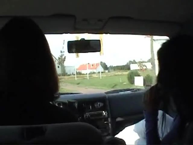 Pussybus Brandenburg