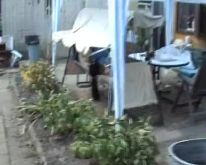 Fick mit Gartennachbar