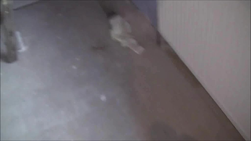Das ist Krass ! Noch ein Azubi