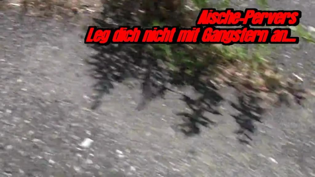 Leg dich nicht mit Gangstern an...