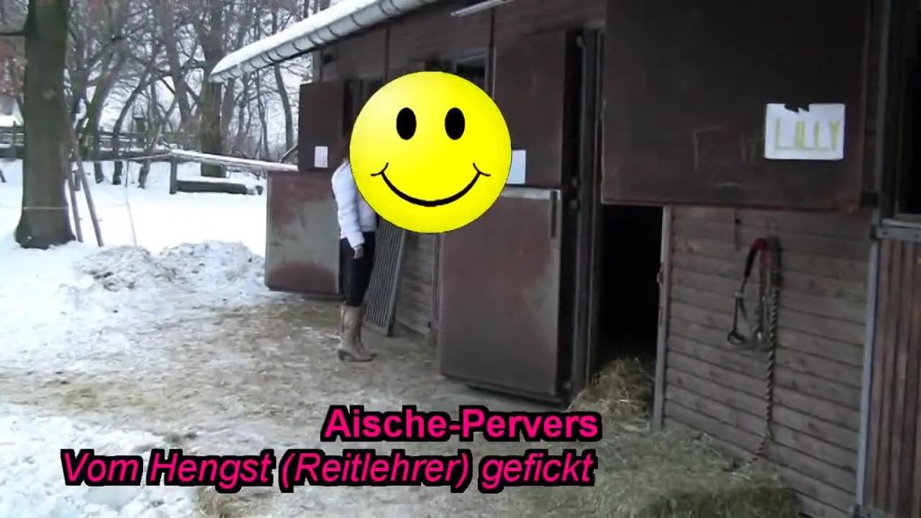 Vom Hengst gefickt
