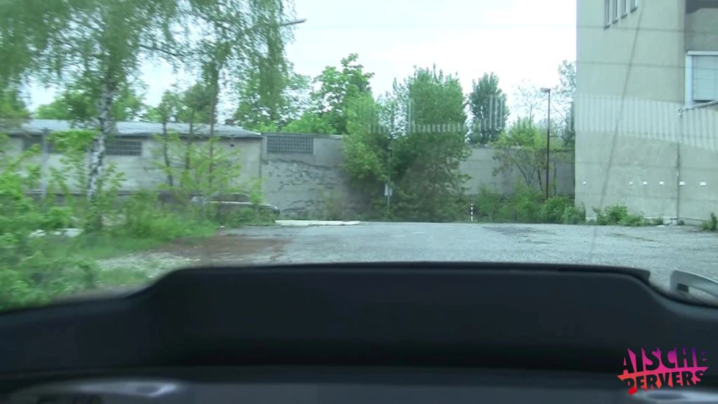 sexy foto nr. 7 von Fick mich in deinem Auto in alle 3 Löcher und spritz mir ...