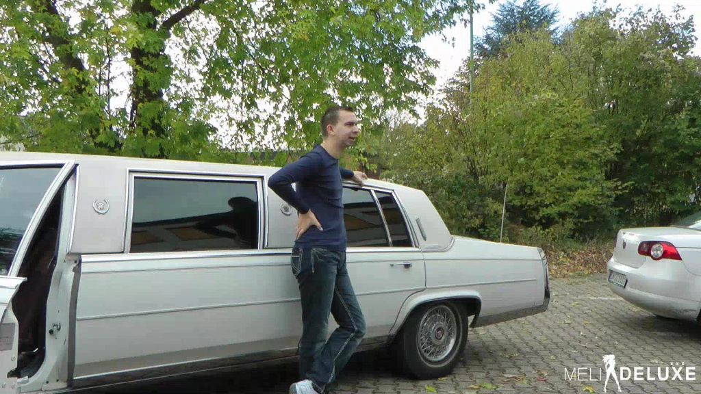 sexy foto nr. 1 von Call Girl in der Limousine gebumst