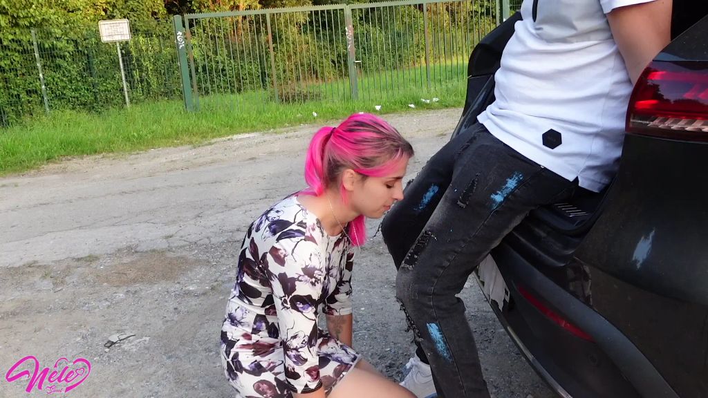 Vorschaubild 1 zum Video „Am FELD in den ARSCH gefickt“