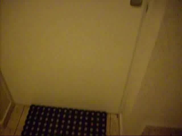 Hausmeister spannert
