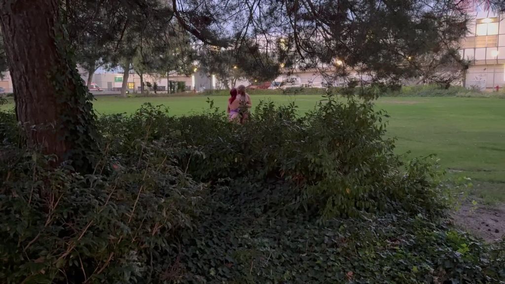 Vorschaubild 1 zum Video „VERSAUTE LESBEN HEIMLICH AUF DER VENUS GEFILMT!!!“