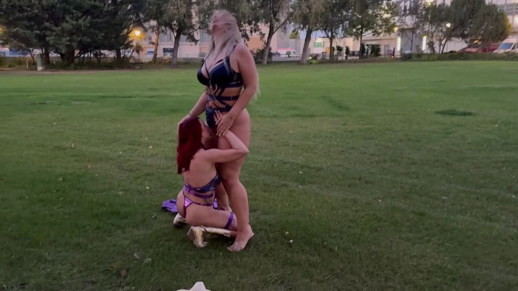 Vorschaubild 3 zum Video „VERSAUTE LESBEN HEIMLICH AUF DER VENUS GEFILMT!!!“