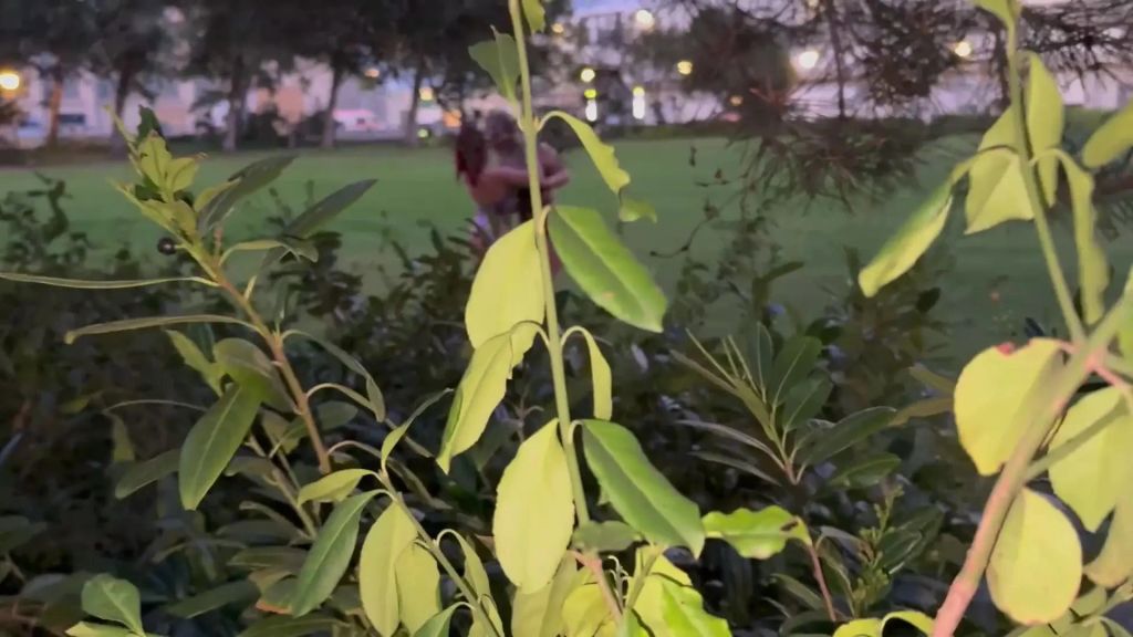 Vorschaubild zum Video „VERSAUTE LESBEN HEIMLICH AUF DER VENUS GEFILMT!!!“ von Just Sophia