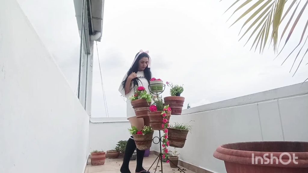 Vorschaubild 3 zum Video „Schläfer auf meiner Terrasse“
