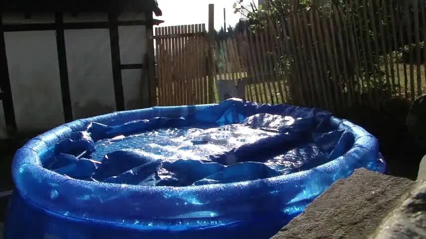 Der Pool meiner Nachbarn