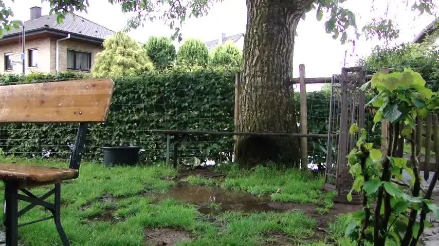 Aigles im Regen