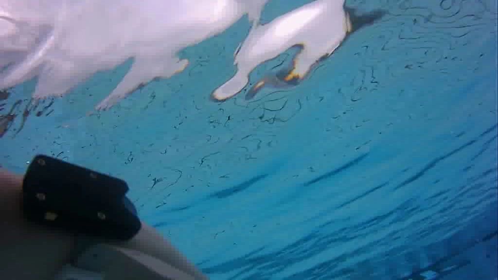 sexy foto nr. 2 von Unterwasser - Underwater MilFs - nackt mit Augen auf