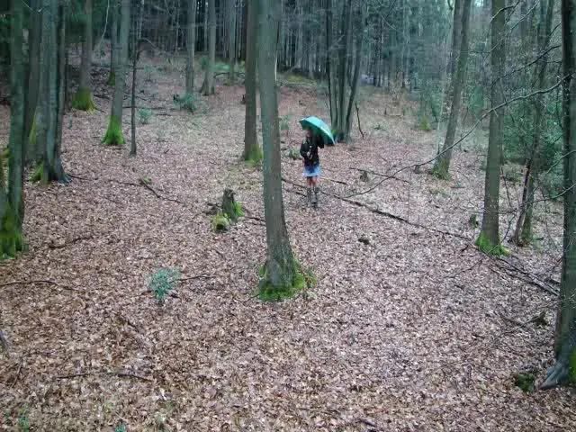 BRUNFTZEIT - Frau Foersterin blaest an !