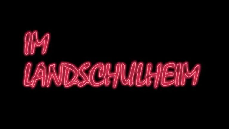 Kissenschlacht