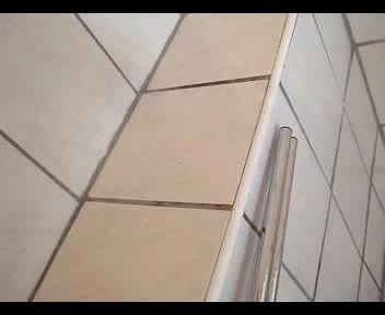 Das gute Zimmermädchen