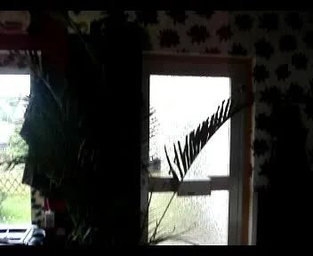 sexy foto nr. 1 von Endlich 18 !!!