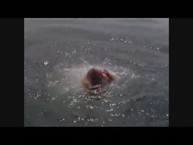 sexy foto nr. 9 von Doggy Pissen aufm Boot(Ton+HD)