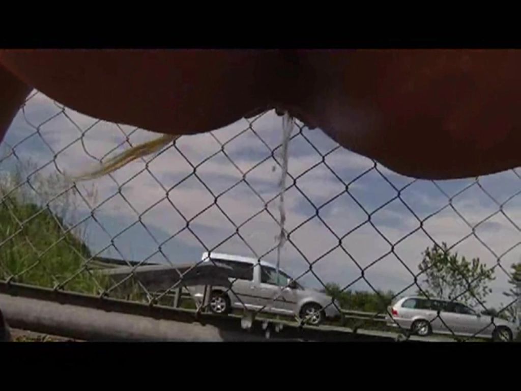 sexy foto nr. 8 von Nackt auf der A8 abgepisst(Ton HD)