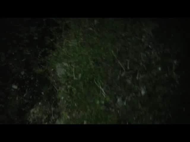Nachm Pissen Voll ins Maul gew