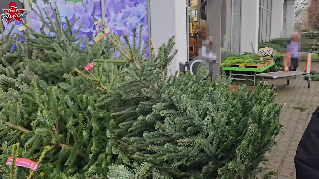 sexy foto nr. 2 von Selbst ist die Frau. Ich kaufe einen Weihnachtsbaum