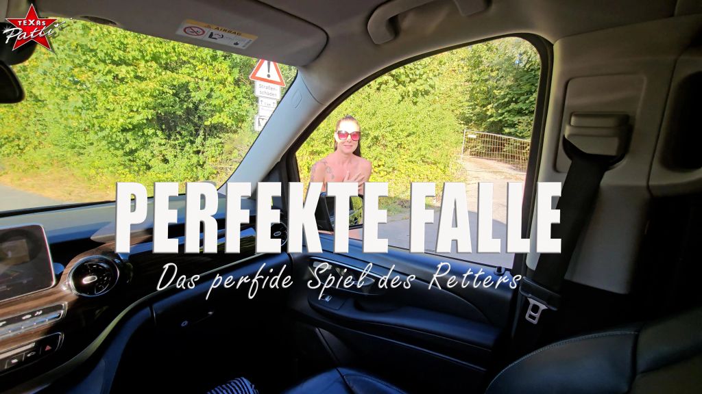 Vorschaubild 9 zum Video „Perfekte Falle. Das Spiel des Retters“