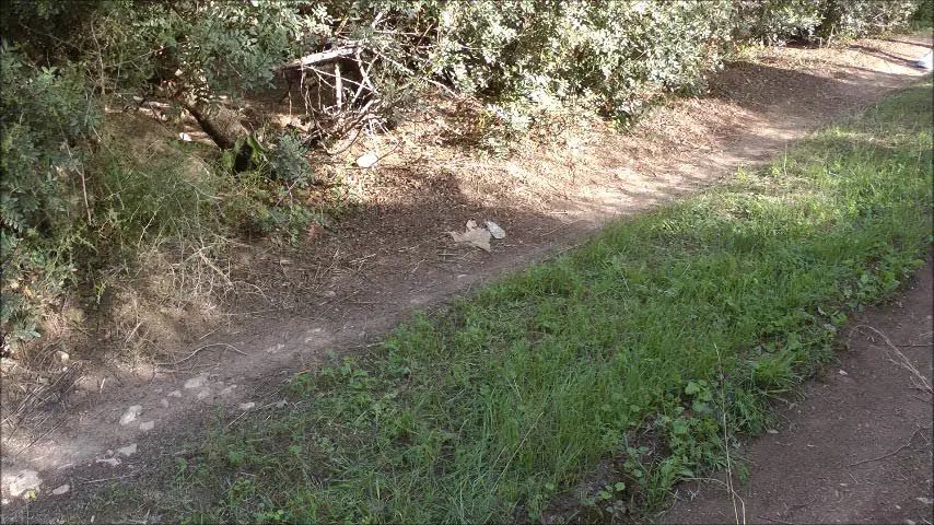 sexy foto nr. 1 von Fremdfick auf dem Waldweg