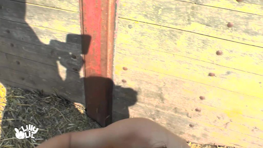 sexy foto nr. 10 von Warum liegt den hier Stroh??? ANAL und OUTDOOR