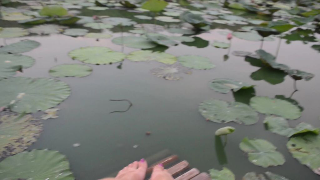 sexy foto nr. 5 von Vicky in der Natur 2