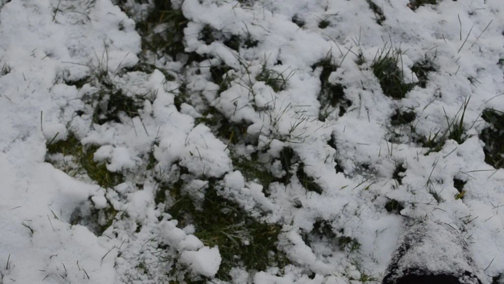 sexy foto nr. 1 von Vicky, Dein Engel im Schnee