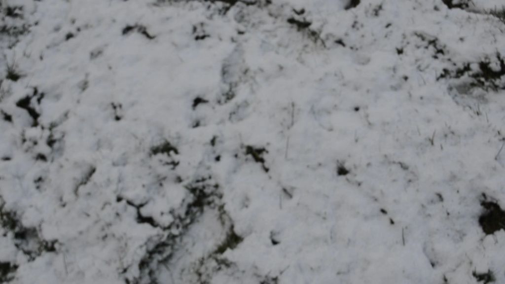 sexy foto nr. 2 von Vicky, Dein Engel im Schnee