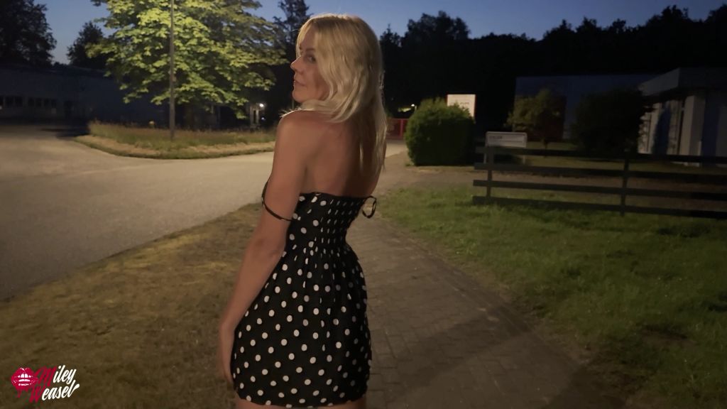 sexy foto nr. 3 von WTF!! Mitten an der Strasse gefickt und vollgesaut !!