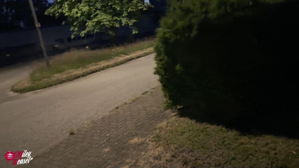 sexy foto nr. 5 von WTF!! Mitten an der Strasse gefickt und vollgesaut !!