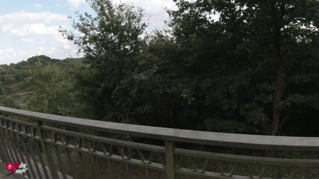 sexy foto nr. 1 von Spanner fickt mich an öffentlichem Aussichtspunkt